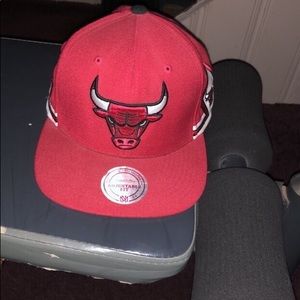Bulls hat